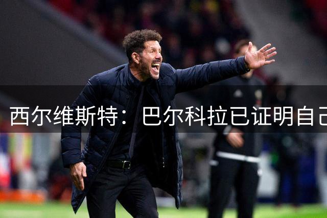 西尔维斯特：巴尔科拉已证明自己，去任何队伍都能胜任主力